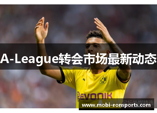A-League转会市场最新动态