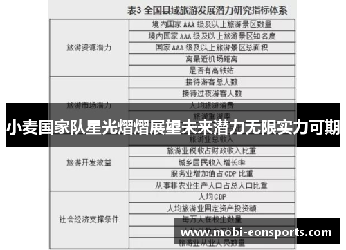 小麦国家队星光熠熠展望未来潜力无限实力可期