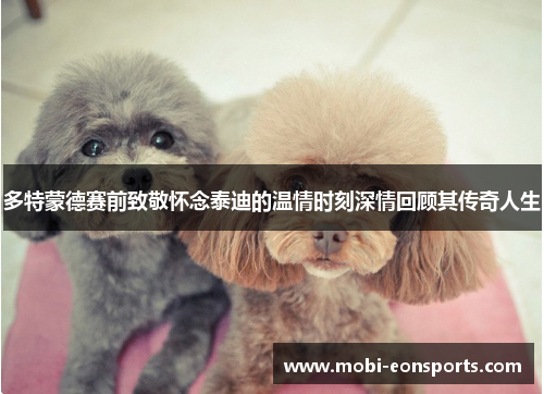 多特蒙德赛前致敬怀念泰迪的温情时刻深情回顾其传奇人生