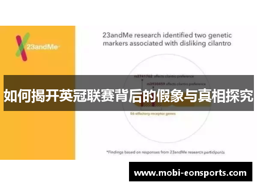 如何揭开英冠联赛背后的假象与真相探究