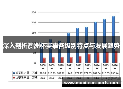 深入剖析澳洲杯赛事各级别特点与发展趋势 深入剖析澳洲杯赛事各级别特点与发展趋势