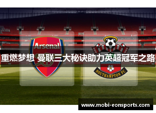 重燃梦想 曼联三大秘诀助力英超冠军之路