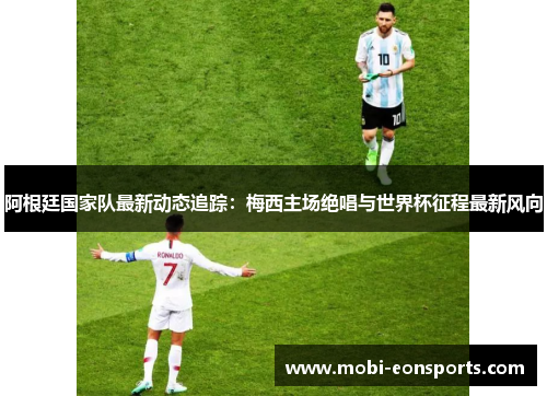 阿根廷国家队最新动态追踪：梅西主场绝唱与世界杯征程最新风向