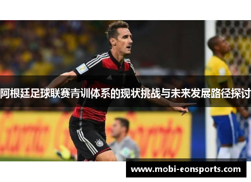 阿根廷足球联赛青训体系的现状挑战与未来发展路径探讨