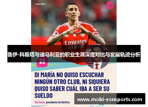 鲁伊-科斯塔与迪马利亚的职业生涯深度对比与发展轨迹分析